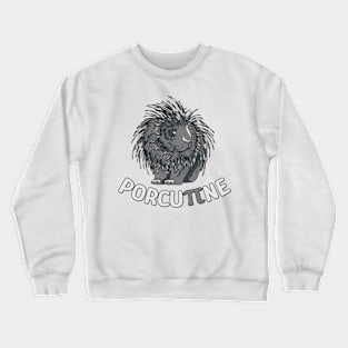 Porcupine Pi Funny Math Pun Cute Pi day for Men Women Kids Crewneck Sweatshirt